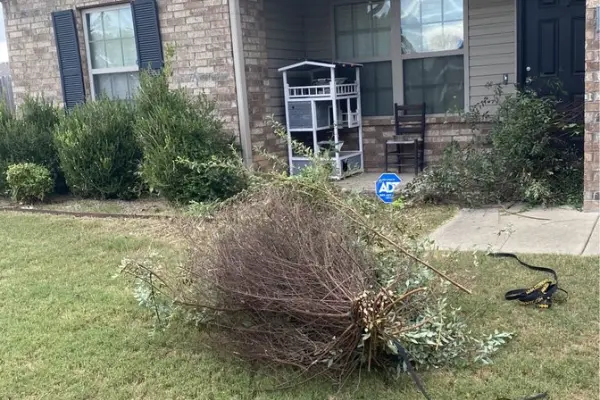 Professional hauling services